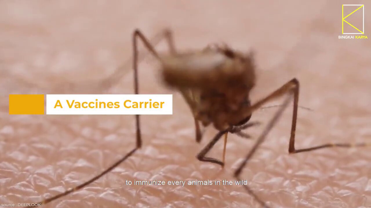 Chinese Researchers Buzzing About Study Regarding the Usage of Mosquitoes to Deliver Vaccines