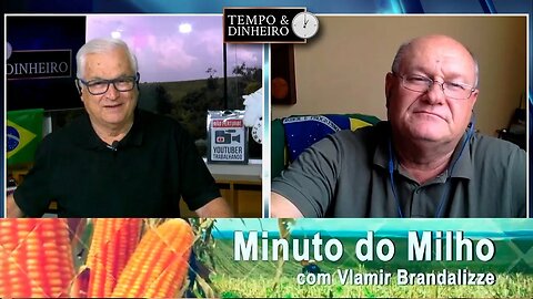 Produtor americano deve plantar mais Milho, apontou USDA.