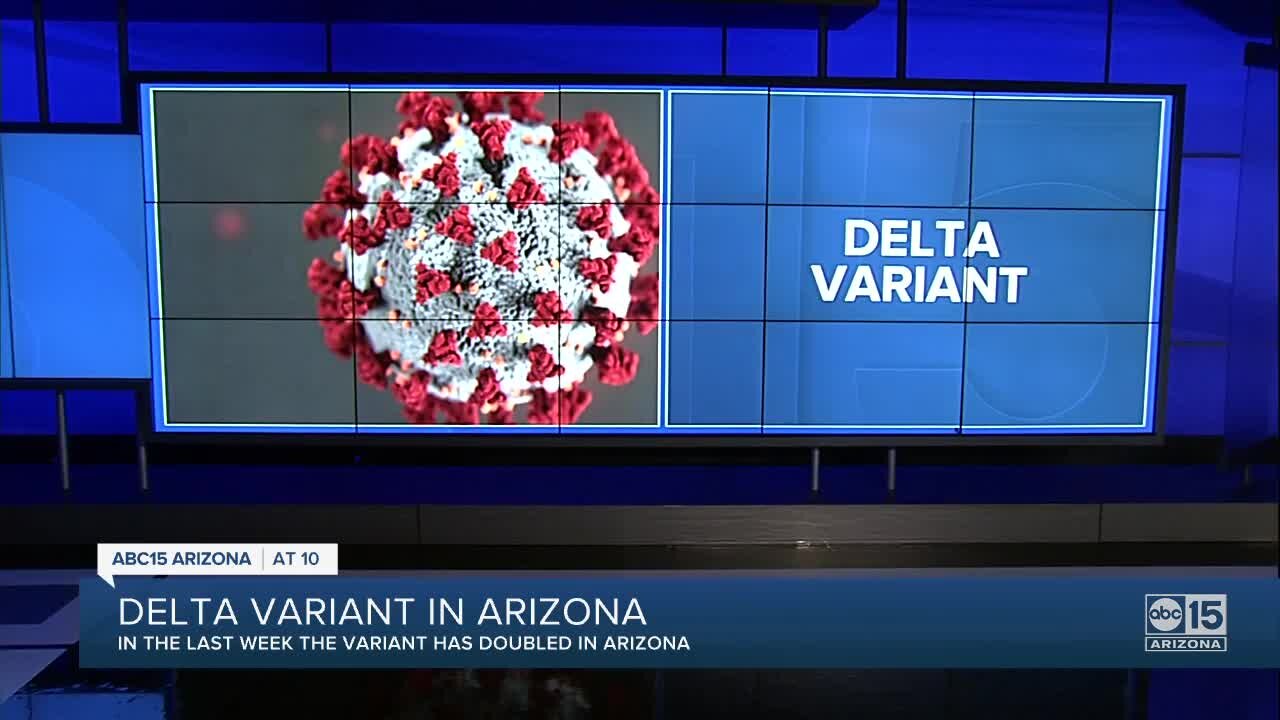 Delta variant becoming more prominent COVID-19 variant in Arizona