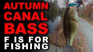 Autumn Canal Bass