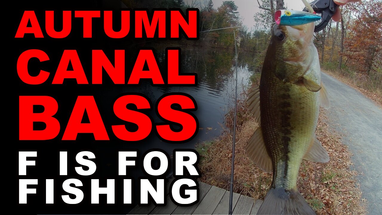 Autumn Canal Bass