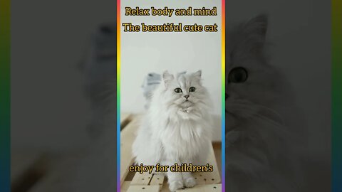 Relax mind and body/beautiful cute cat/enjoy for childrens/@Kids Motivation