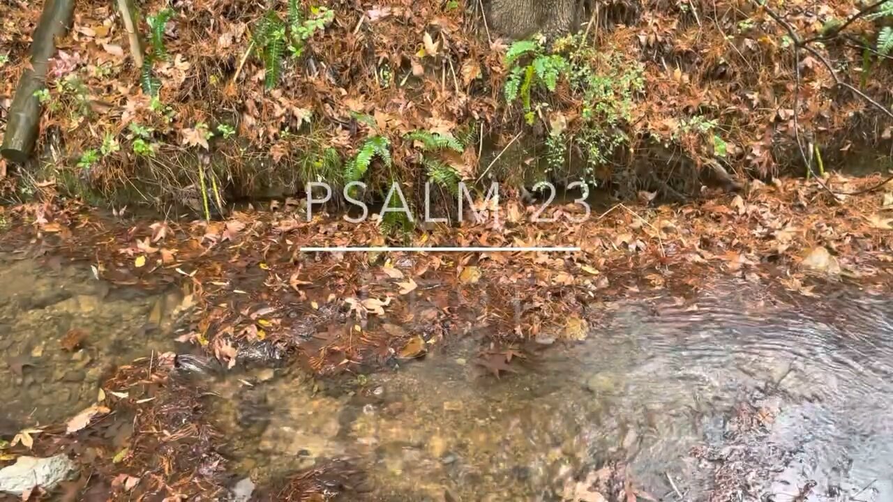 Psalm 23 - Rest