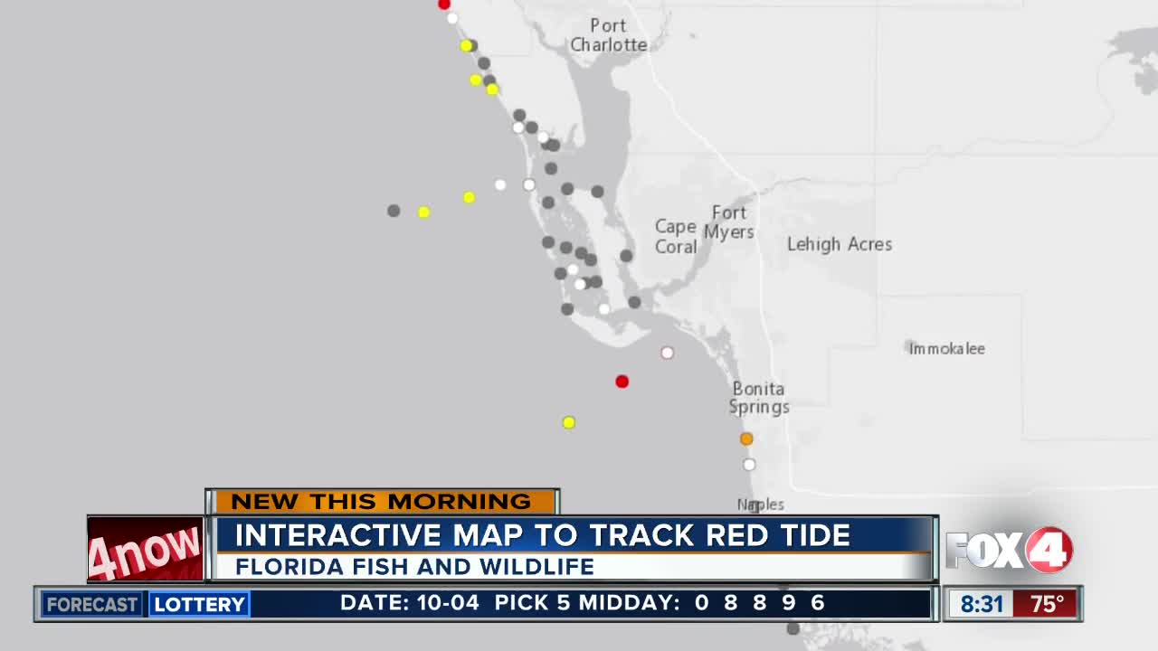 FWC: New interactive map to track red tide daily