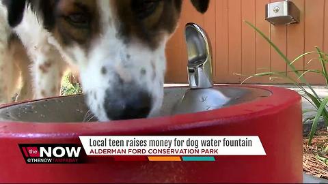 Local teen raises money for dog water fountain at Alderman Ford Conservation Park