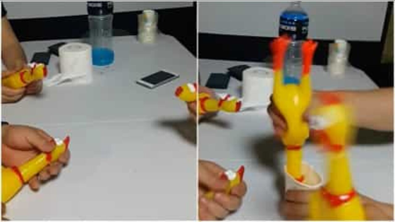 Les poulets en plastiques sont aussi de parfaits instruments de musique!