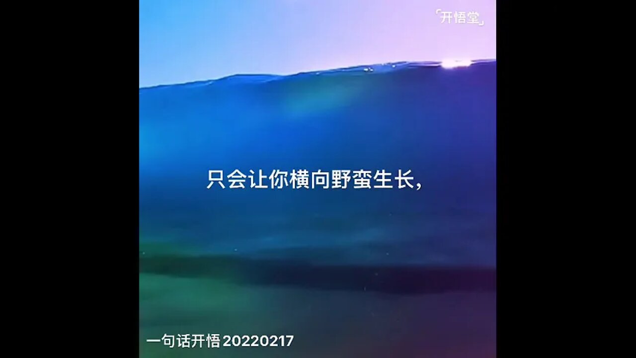 一句话开悟20220217
