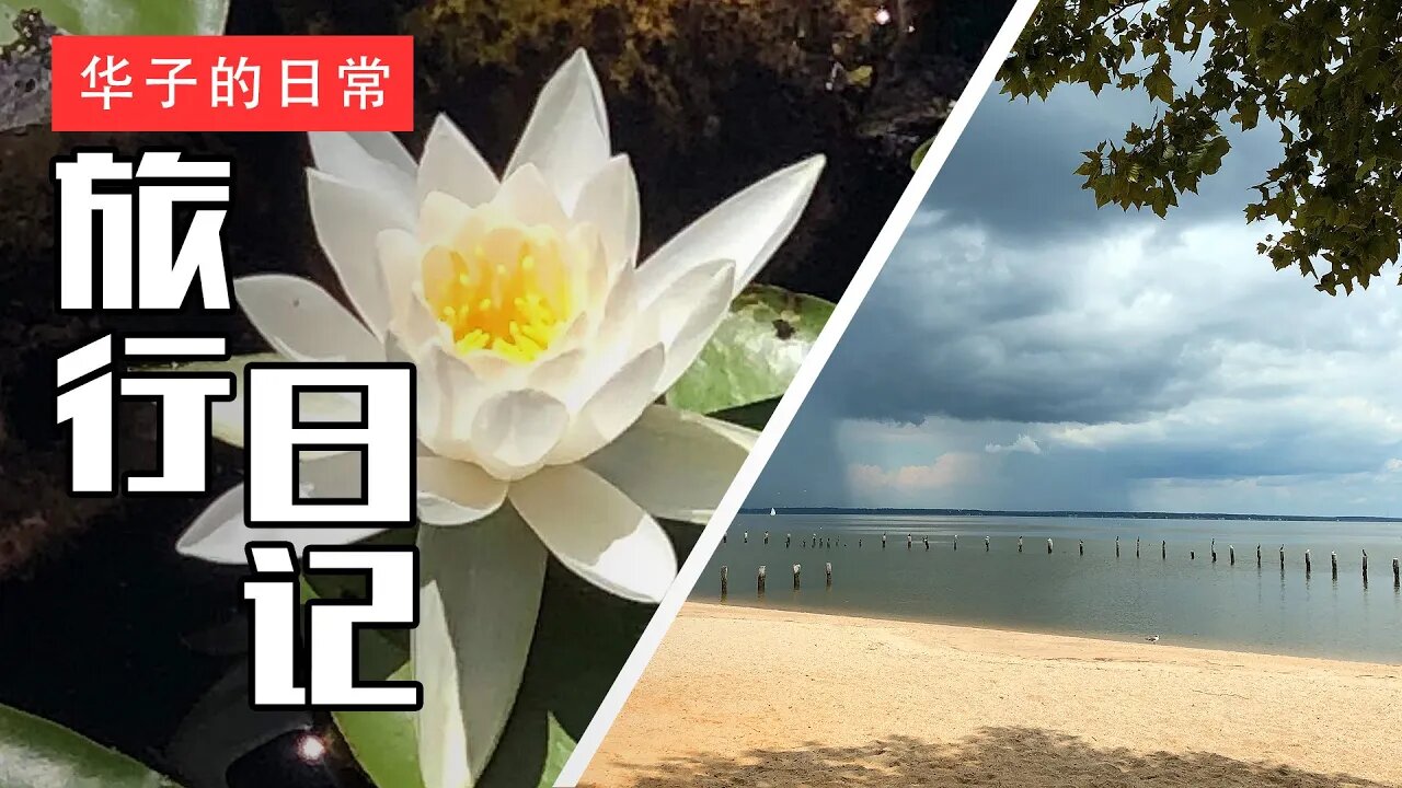 旅行日记(1) 埃拉诺劳伦斯公园/殖民海滩 Vlog #1: Ellanor Lawrence Park/Colonial Beach