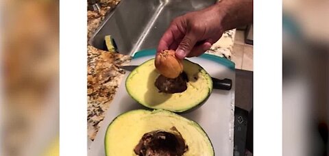 Avocado sets world record