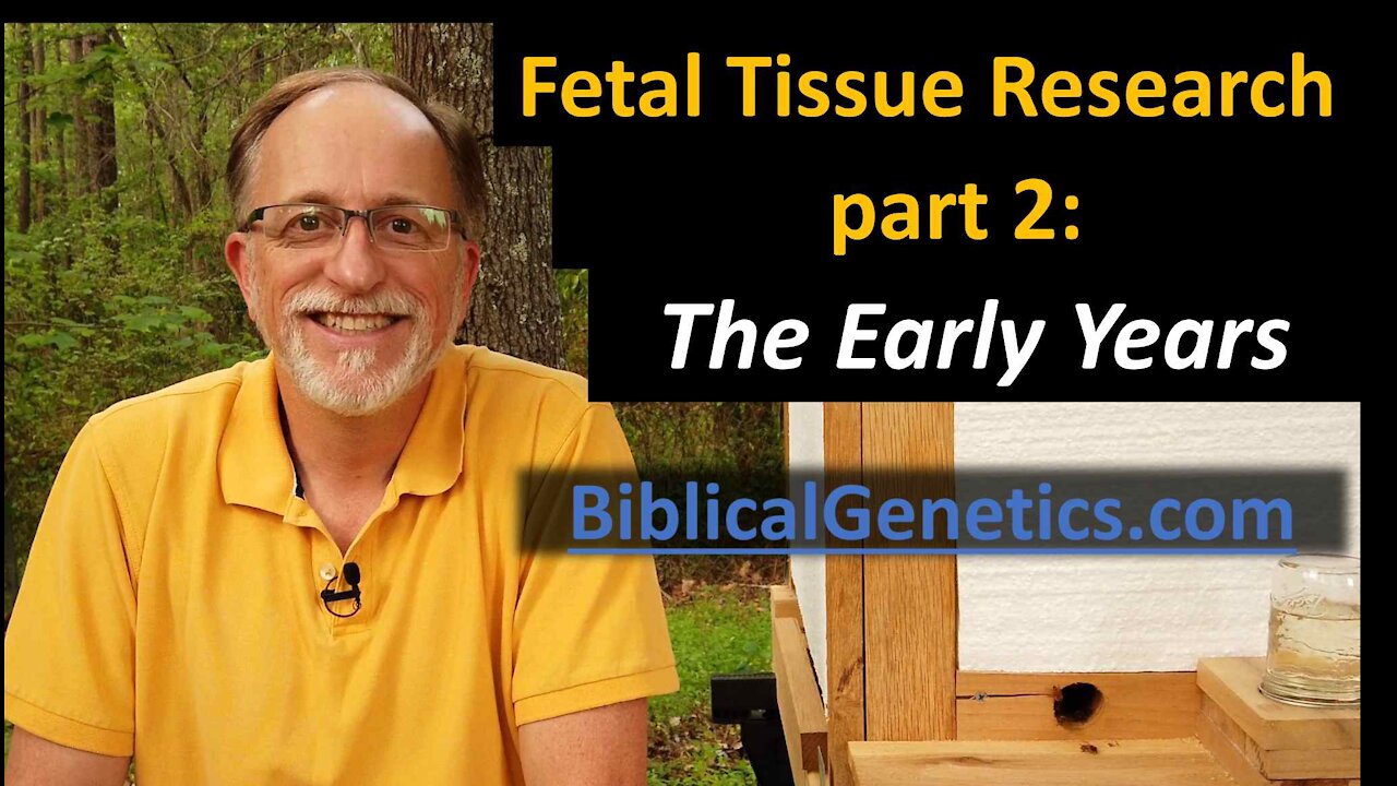 Fetal Tissue Research, part 2: The Early Years