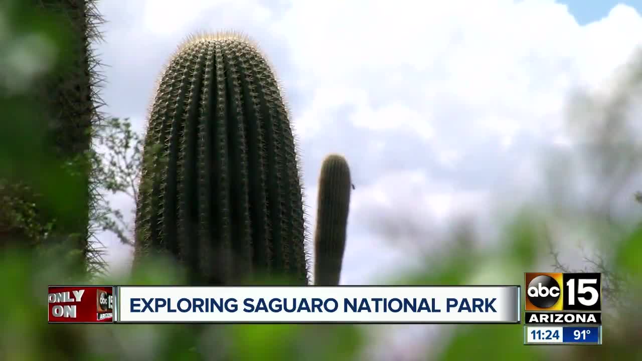 National Park celebrates 102nd birthday