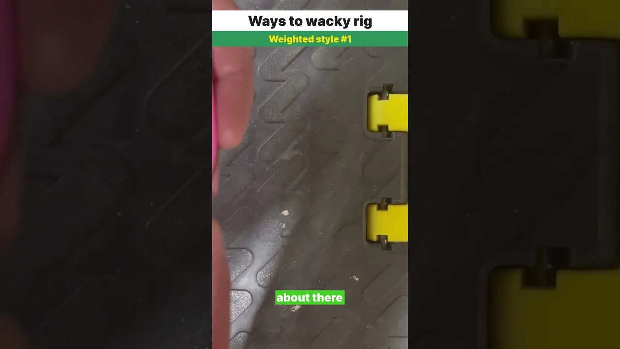 Way of the wacky rig #1 #shorts #bassfishing