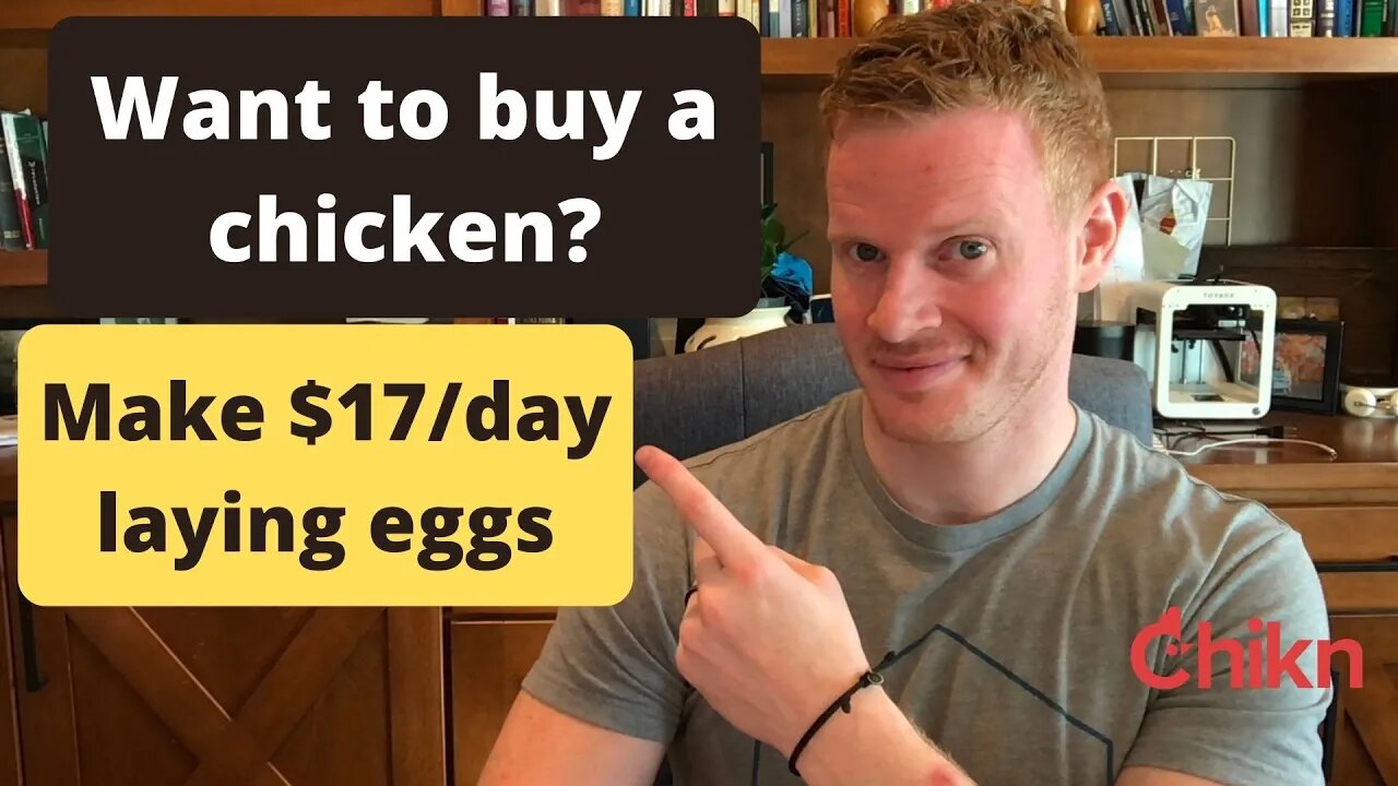 Yesterday I bought thieves, today I am buying chickens. My chicken NFT makes $17/day laying eggs