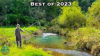 THE BEST FLY FISHING / TROUT FISHING VIDEO! (Best of Compilation - 2023)