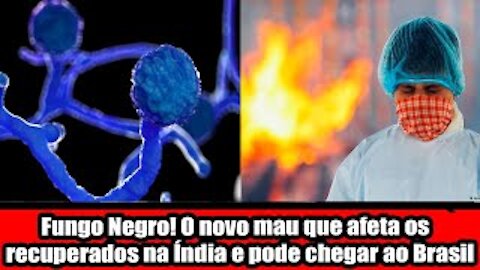 Fungo Negro o novo mau que afeta os recuperados na Índia e pode chegar ao Brasil