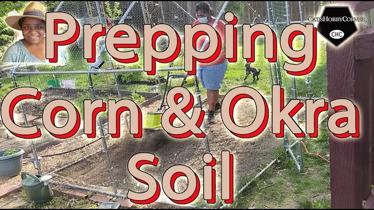 #prepping #corn & #okra #soilpreparation - #catshobbycorner