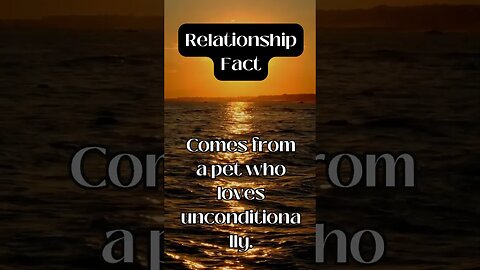 Relationship Fact