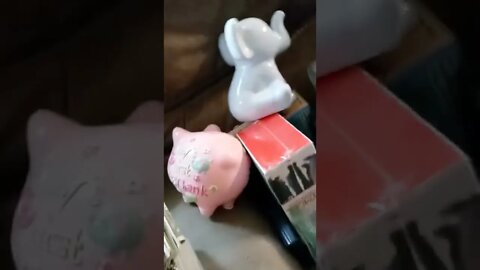 we found money in piggy banks