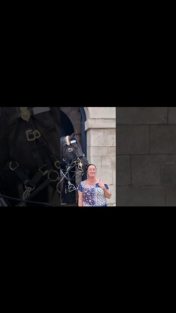 Sweetest moment #horseguardsparade