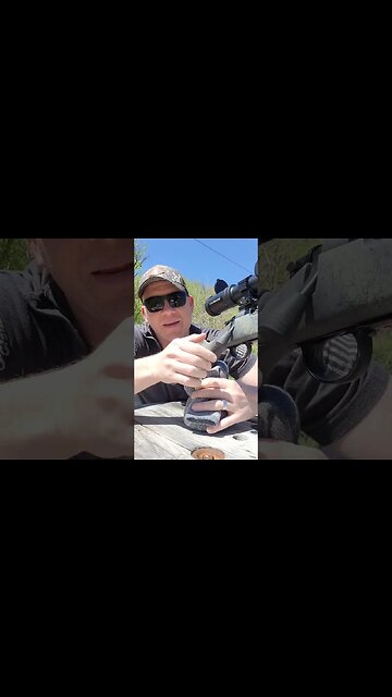 Subsonic 308 is AWESOME #shorts