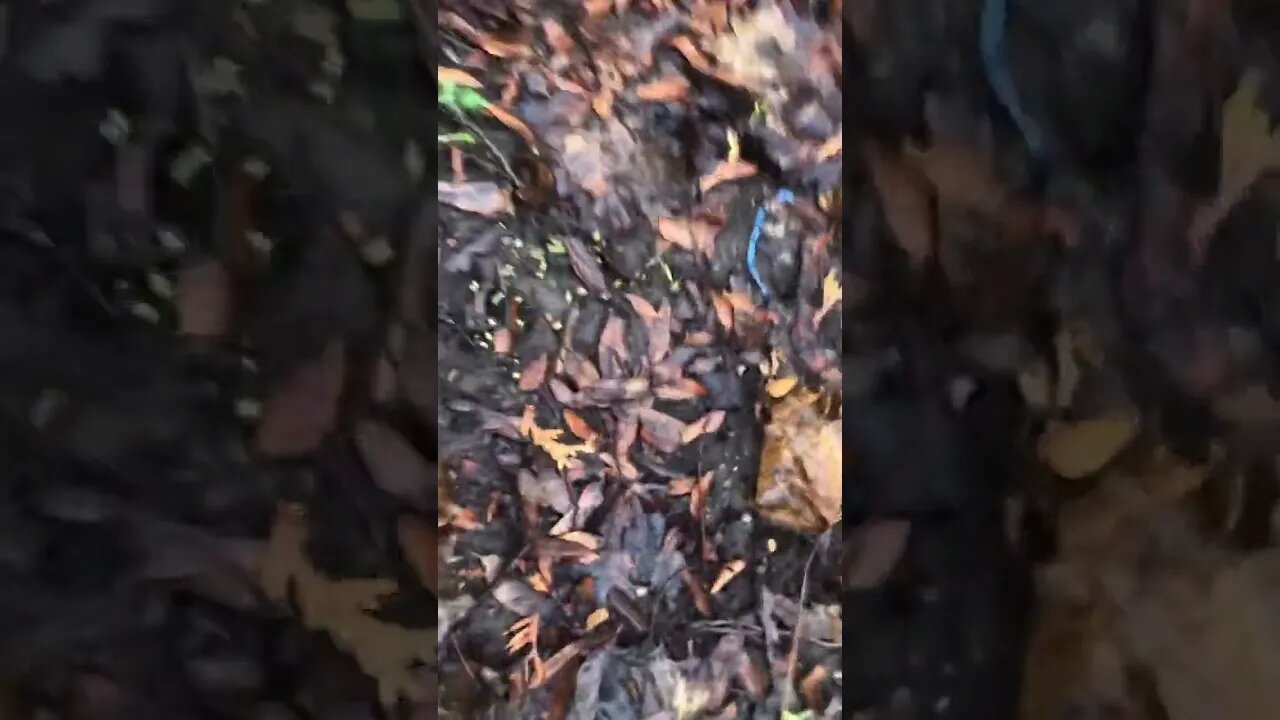 Am I tripping? Not sure