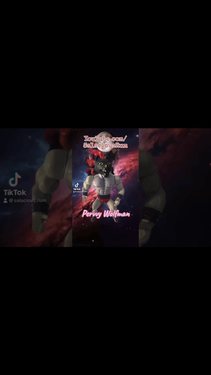 Introducing Wolfman #galaxybeats #galaxywarriors #galaxyfighters #motu #voiceeffects