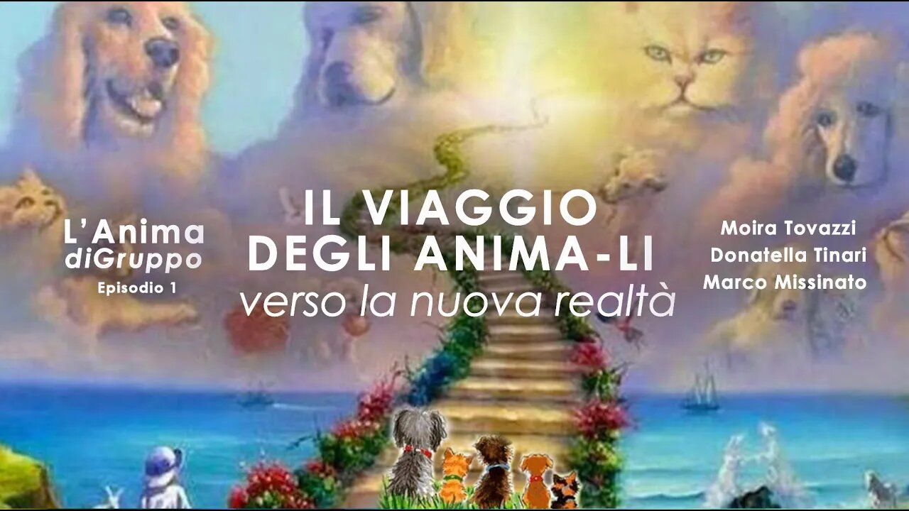 IL VIAGGIO DEGLI ANIMA-LI Verso la nuova realtà - Episodio 1 L'anima di Gruppo