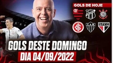 TODOS OS GOLS DESTE DOMINGO 04/09/2022 GOLS DO BRASILEIRÃO / GOLS DO FANTÁSTICO SÉRIE A, B e C