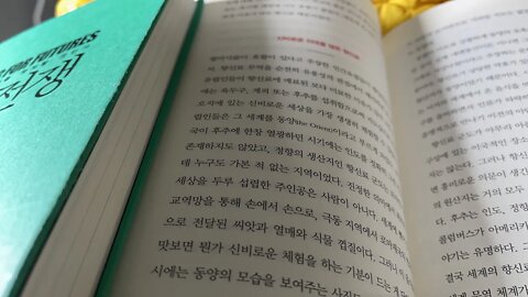 원더랜드 스티븐존슨 향신료 육두구 계피 향미사 무역 인도 동양 씨앗 열매 에덴동산 정향 고추 바닐라 후추