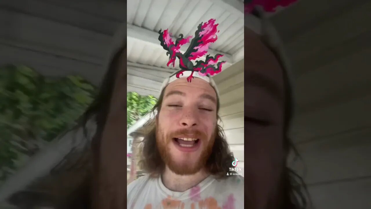 What flying type am I #growyourchannel #fypシ #fypシ゚viral #shortvideos #tiktok #shorts #pokemon #fyp