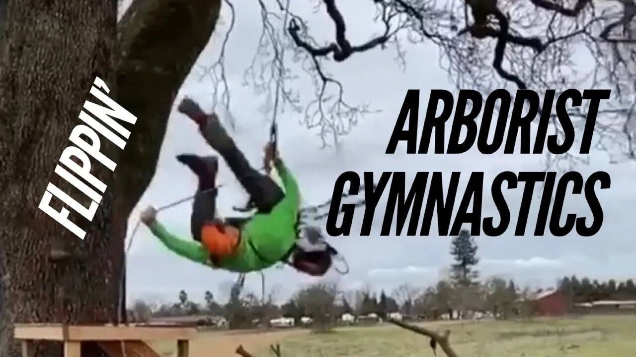 Awesome Arborist gymnastics!!