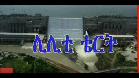 ሊሊቲ ቴርት
