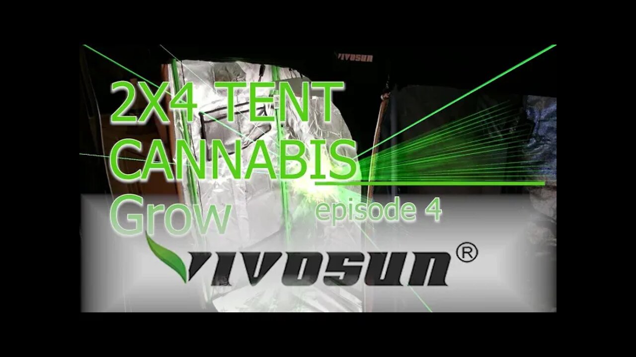 Vivosun Grow Tent 2x4 MAC1 Cannabis Grow ep. 4 🔨 Day 32 #Vivosun #420 #MAC1