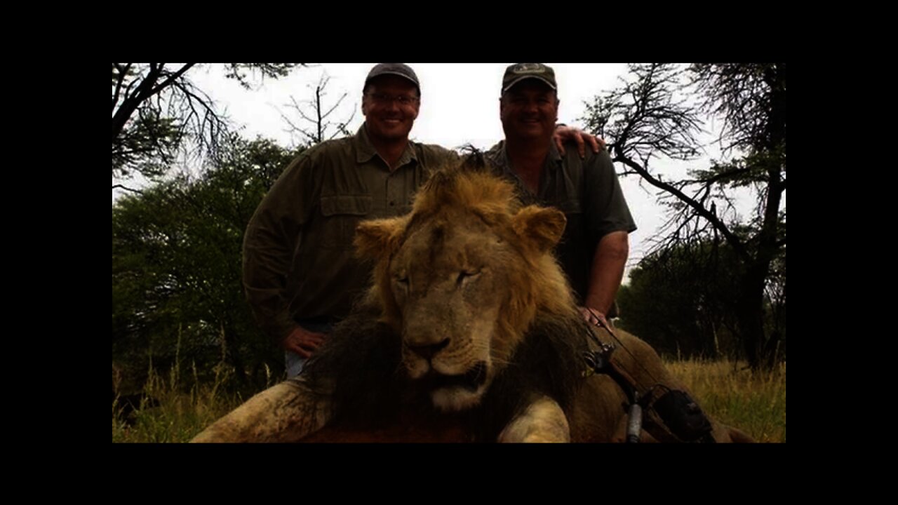 What Pisses Me Off About Cecil the Lion