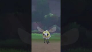 Pokémon Sword - Wild Cutiefly