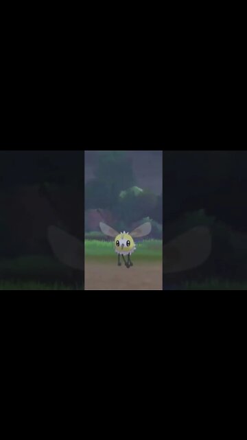 Pokémon Sword - Wild Cutiefly