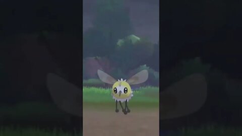 Pokémon Sword - Wild Cutiefly