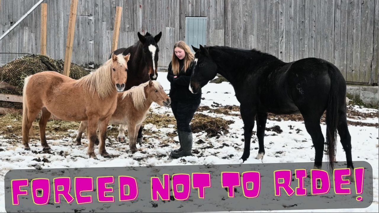 Forced NOT To RIDE Our HORSES!