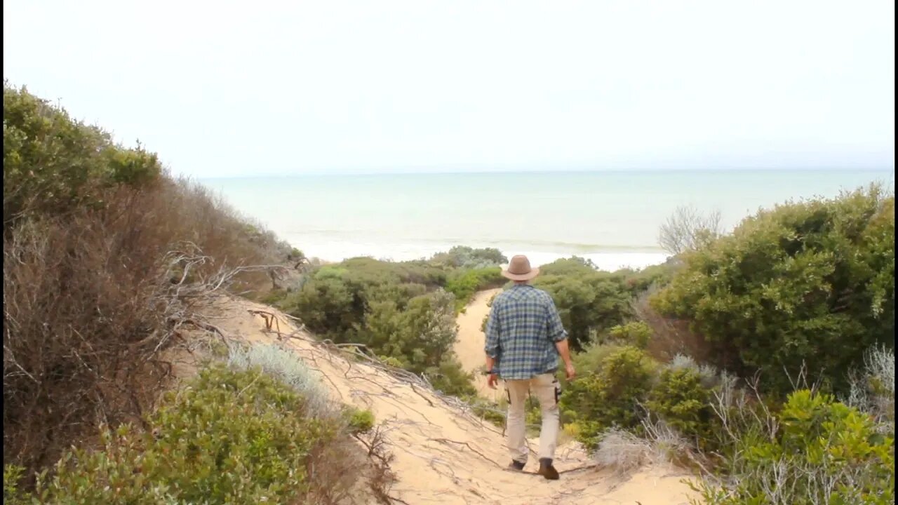 SOLO CAMPING near the beach, ASMR camping