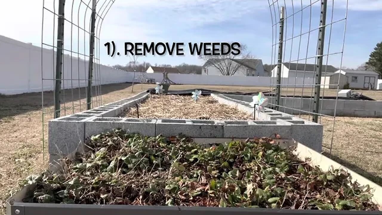 Prepping the strawberry patch before spring.