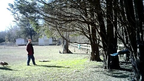 Showing maw & Lucy "Critterville"