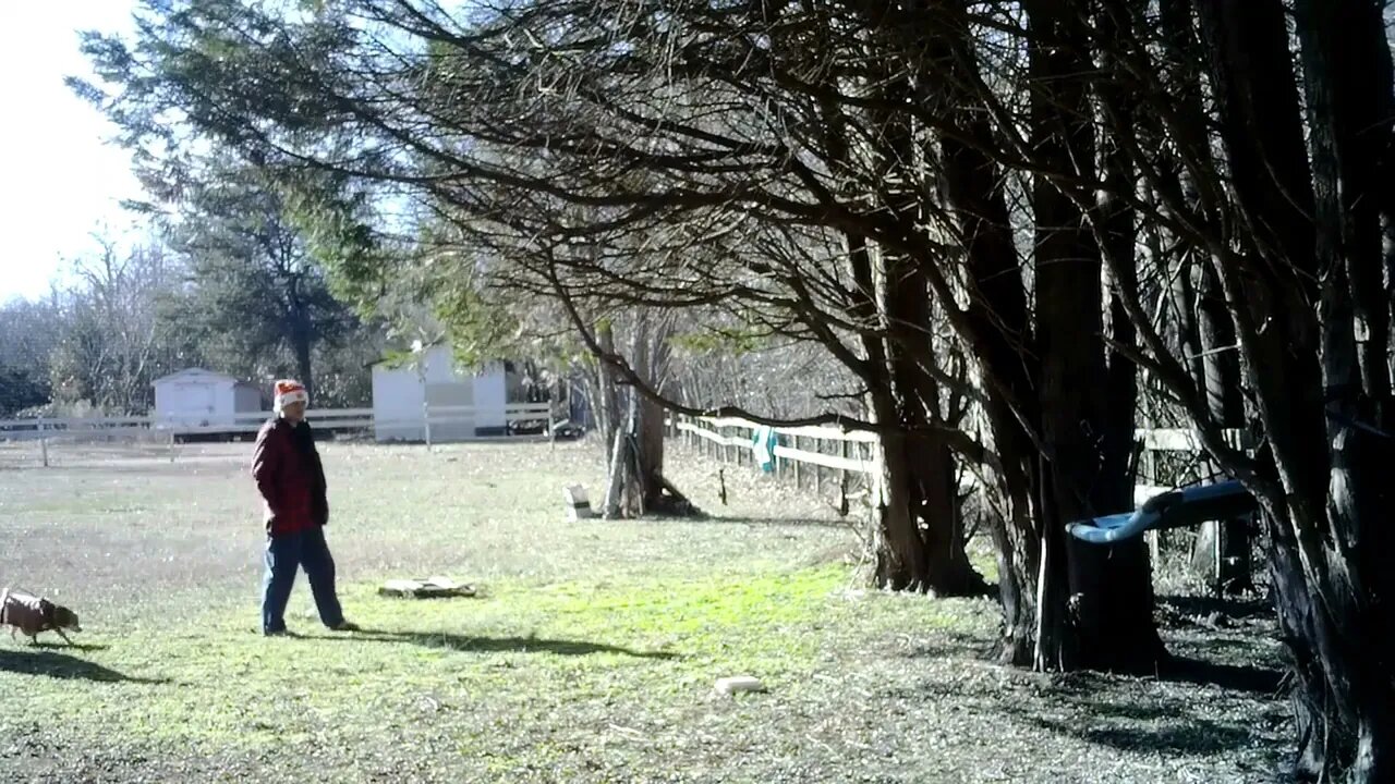 Showing maw & Lucy "Critterville"