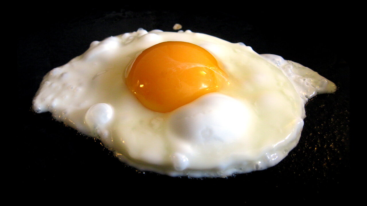 Evolution is False....EGGS