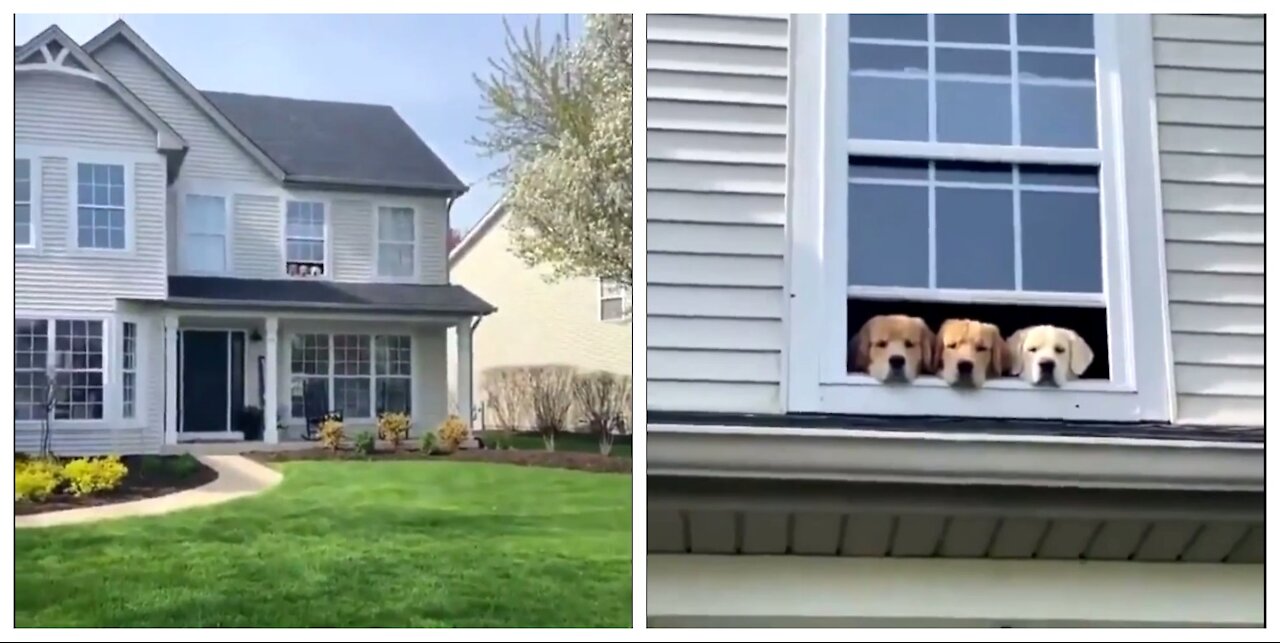 Neighborhood Watch