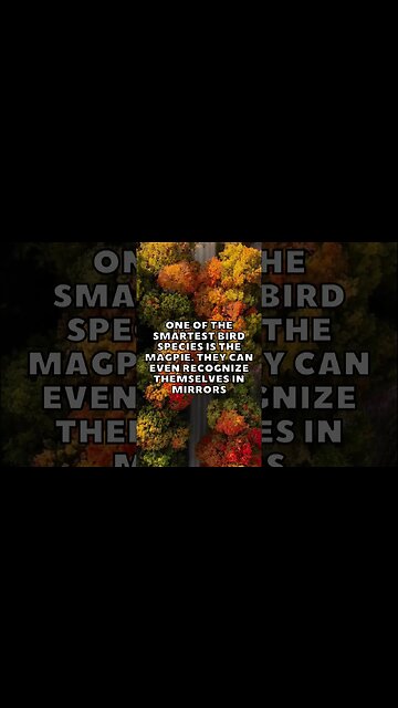 Incredible Random Facts That Will Expand Your Mind! [2023] #shorts #facts #viralshorts #fyp #life