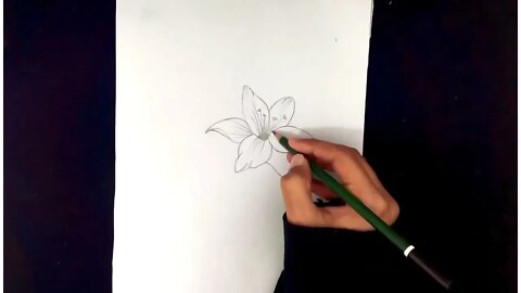 How To Draw Flowers Easy
