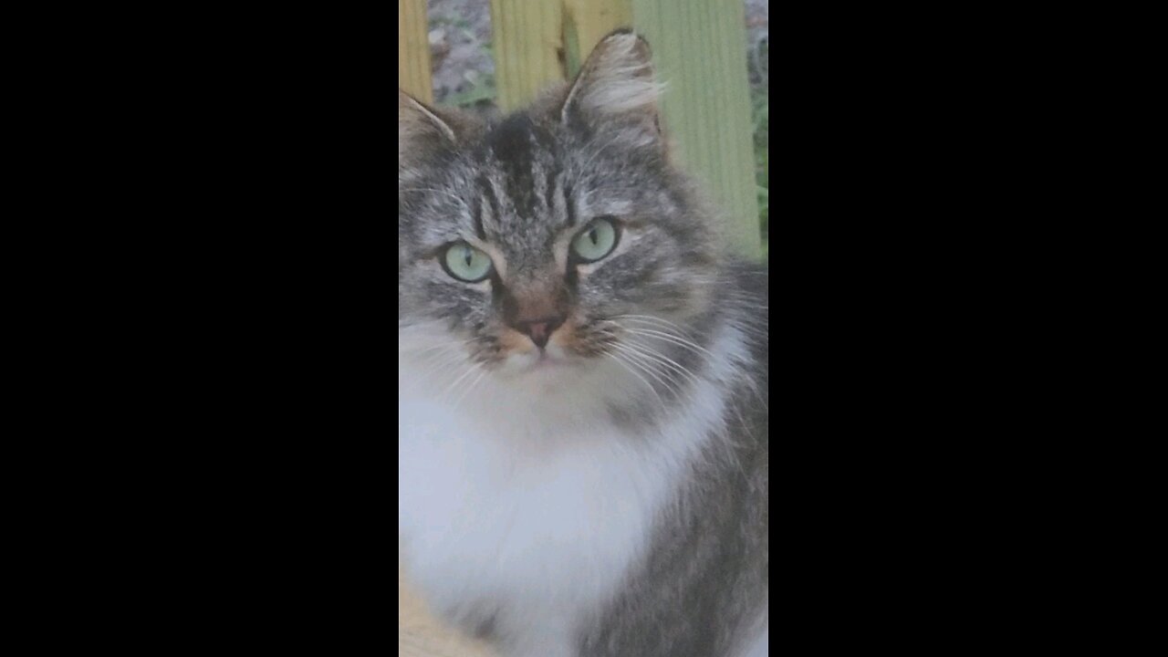 This is how far we got today in our new'er' place