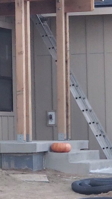 Roof inspection complete 😀