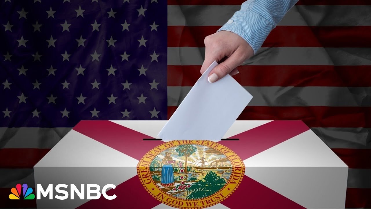 Florida is ‘absolutely’ in play for the presidential race: FL Dem Party Chair Nikki Fried