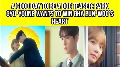 A Good Day to be a Dog teaser: Park Gyu-young wants to win Cha Eun-woo's heart